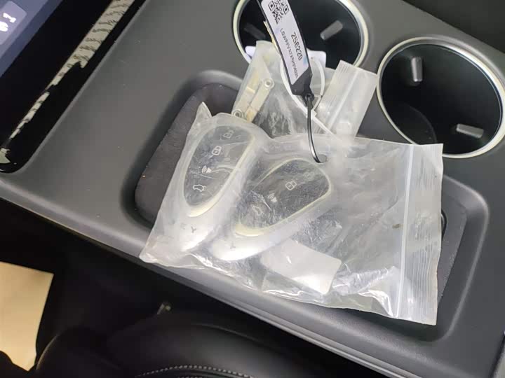 Фото 9 - Wey Mocca Hybrid