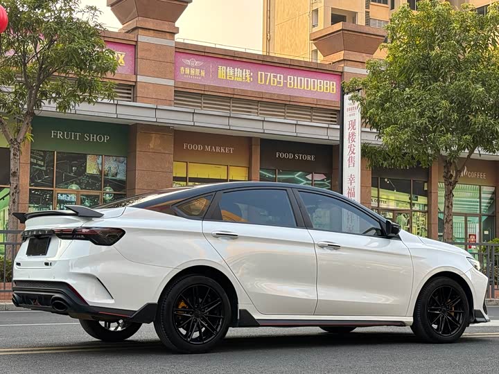 Фото 4 - Geely Binrui