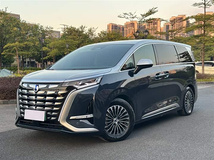 Фото 1 - Denza D9