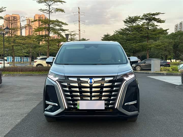 Фото 2 - Denza D9