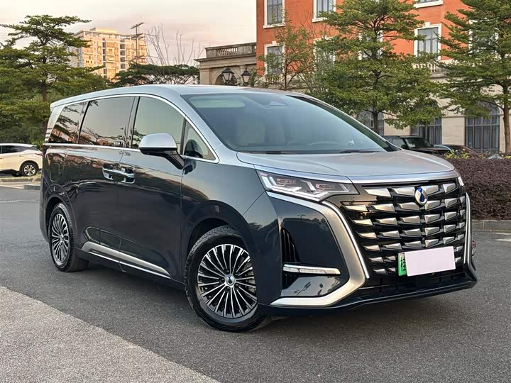 Фото 3 - Denza D9