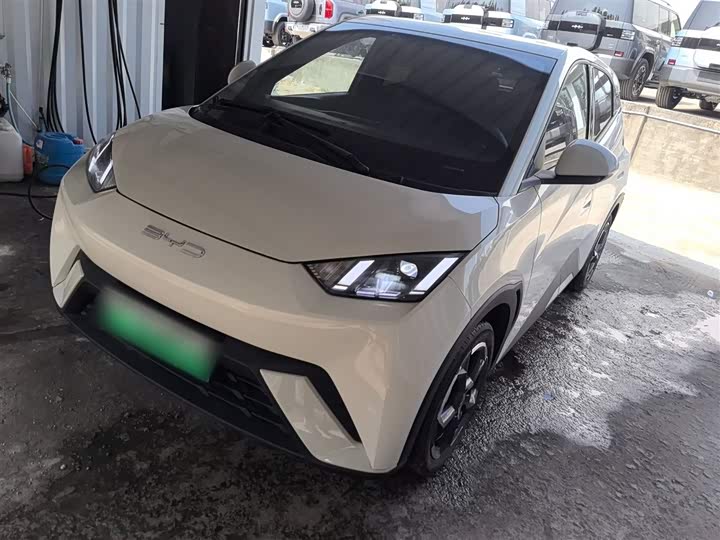 Фото 2 - BYD Seagull