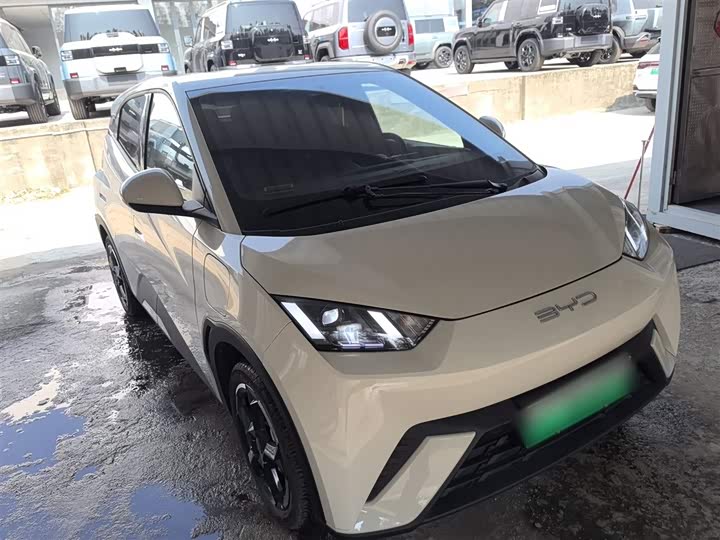 Фото 4 - BYD Seagull