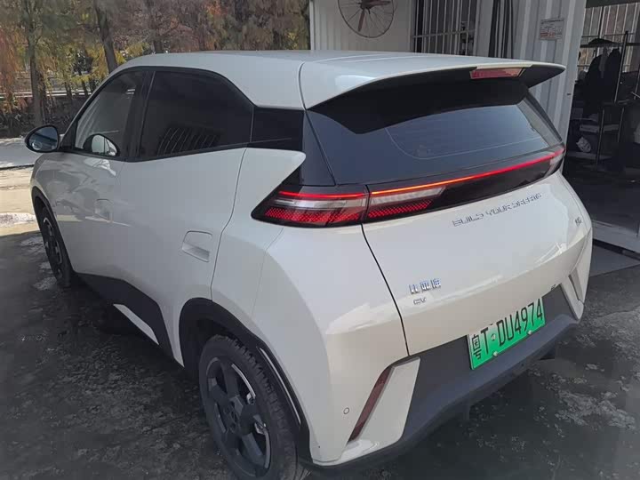 Фото 5 - BYD Seagull