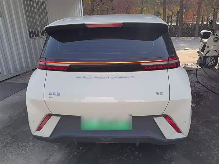 Фото 6 - BYD Seagull