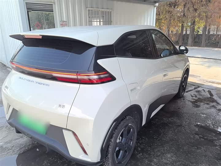 Фото 7 - BYD Seagull