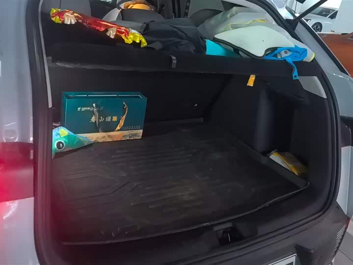 Фото 4 - BYD Yuan Plus