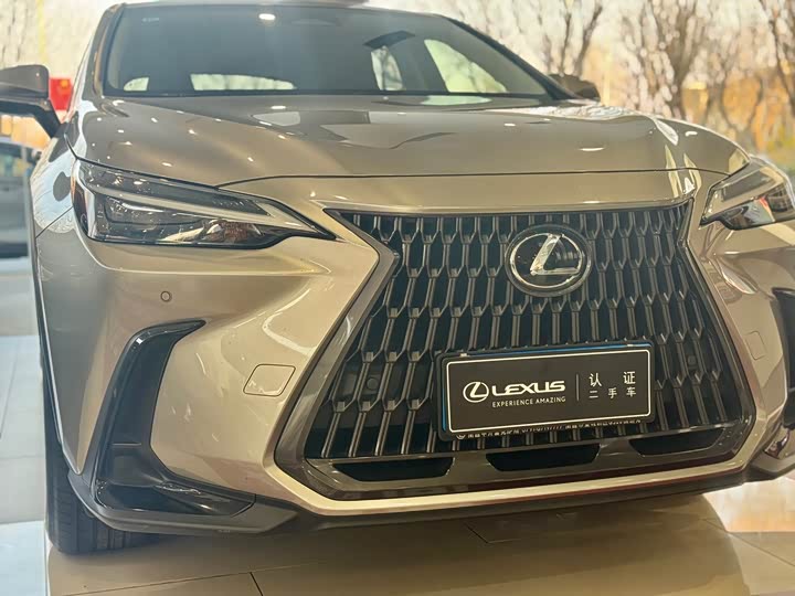 Фото 5 - Lexus NX