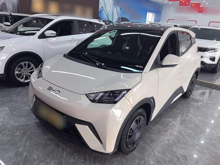 Фото 1 - BYD Seagull