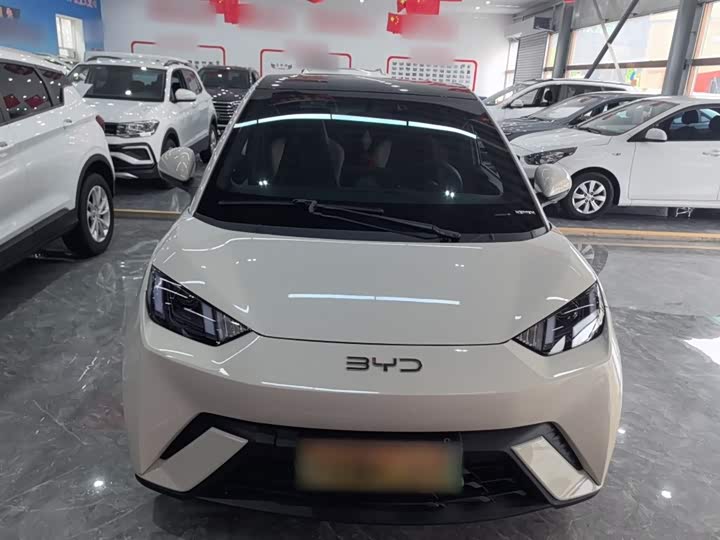 Фото 3 - BYD Seagull