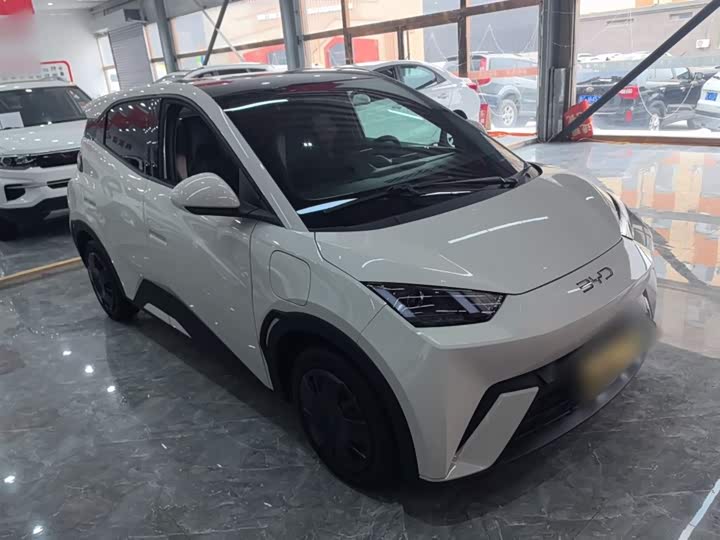 Фото 4 - BYD Seagull