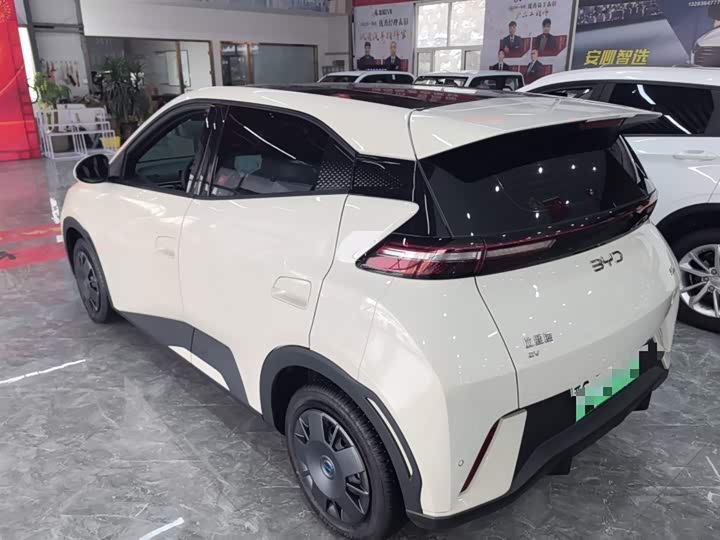 Фото 5 - BYD Seagull