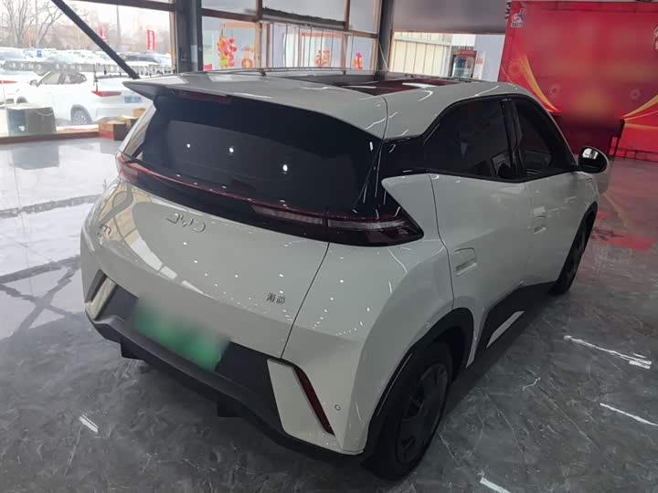 Фото 7 - BYD Seagull