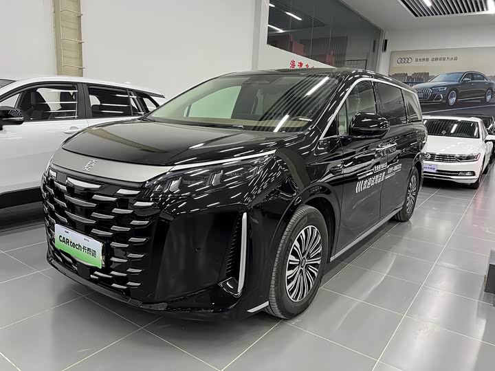 Фото 1 - BYD Xia