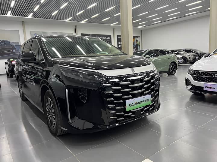 Фото 2 - BYD Xia