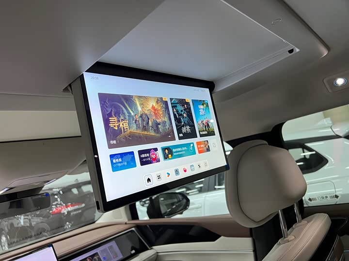 Фото 6 - BYD Xia