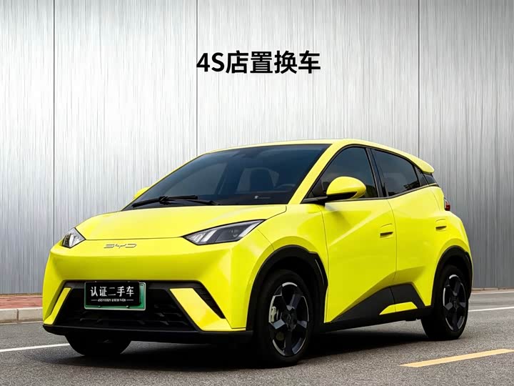 Фото 1 - BYD Seagull