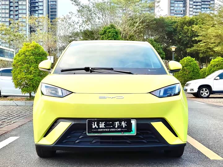 Фото 2 - BYD Seagull