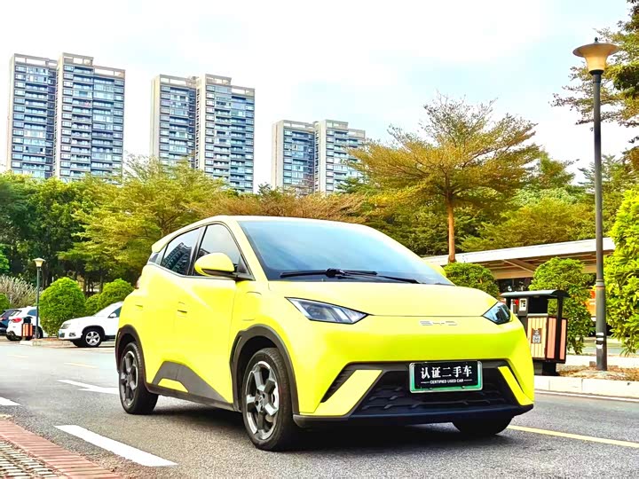 Фото 3 - BYD Seagull