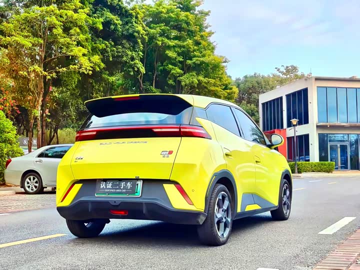 Фото 4 - BYD Seagull