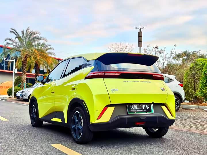 Фото 5 - BYD Seagull