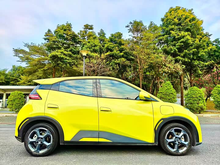 Фото 6 - BYD Seagull