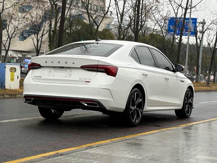 Фото 4 - Skoda Octavia Pro