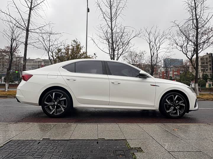 Фото 8 - Skoda Octavia Pro