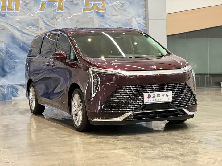 Фото 3 - Buick GL8 Century