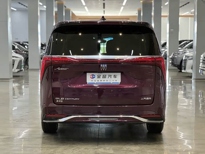 Фото 5 - Buick GL8 Century