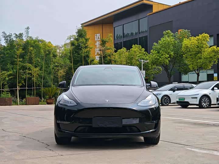 Фото 2 - Tesla Model Y