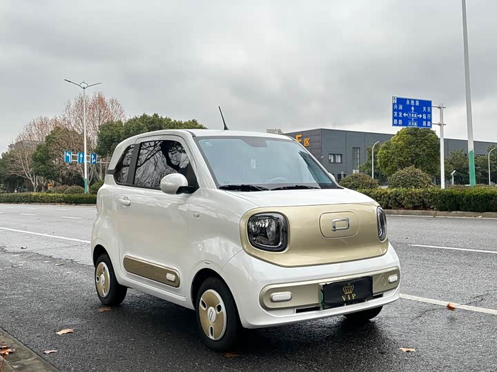 Фото 2 - Bestune Pony