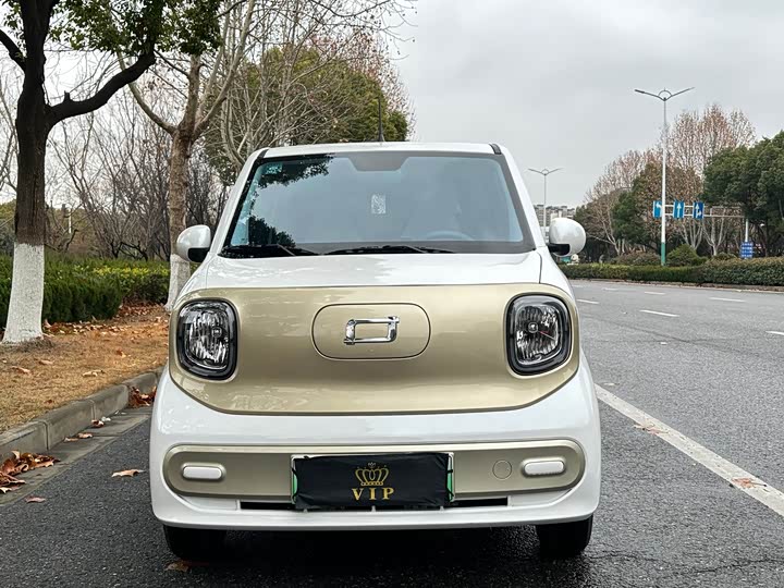 Фото 3 - Bestune Pony