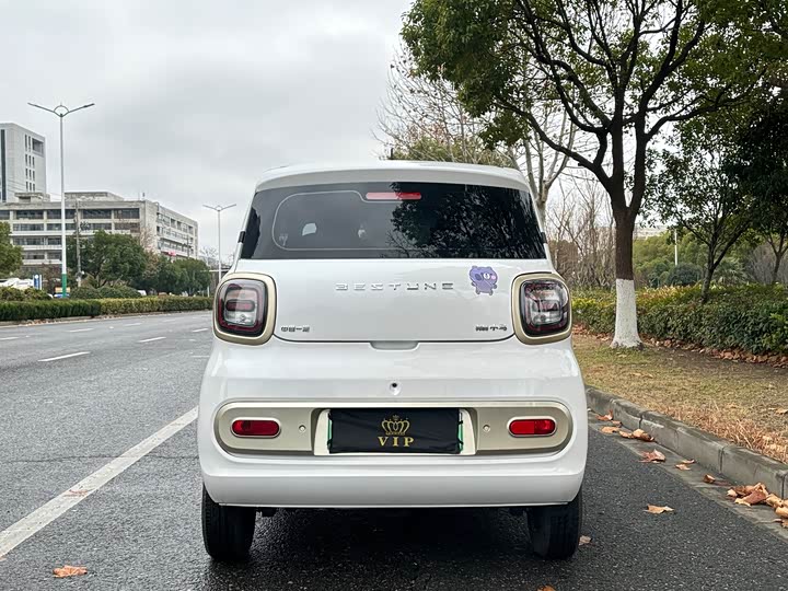 Фото 6 - Bestune Pony