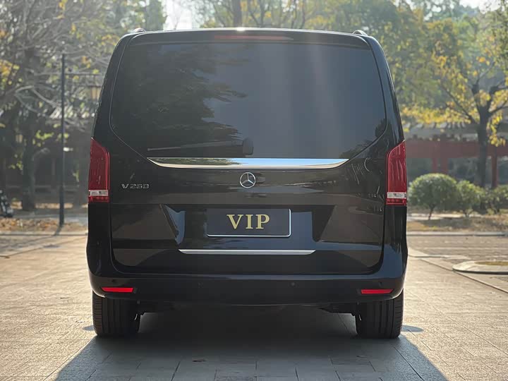 Фото 7 - Mercedes-Benz V-Class