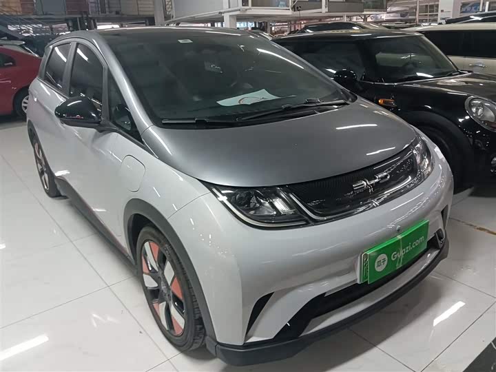 Фото 4 - BYD Dolphin