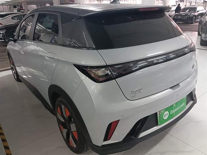 Фото 5 - BYD Dolphin