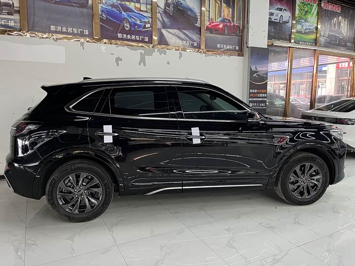 Фото 9 - Hongqi HS5