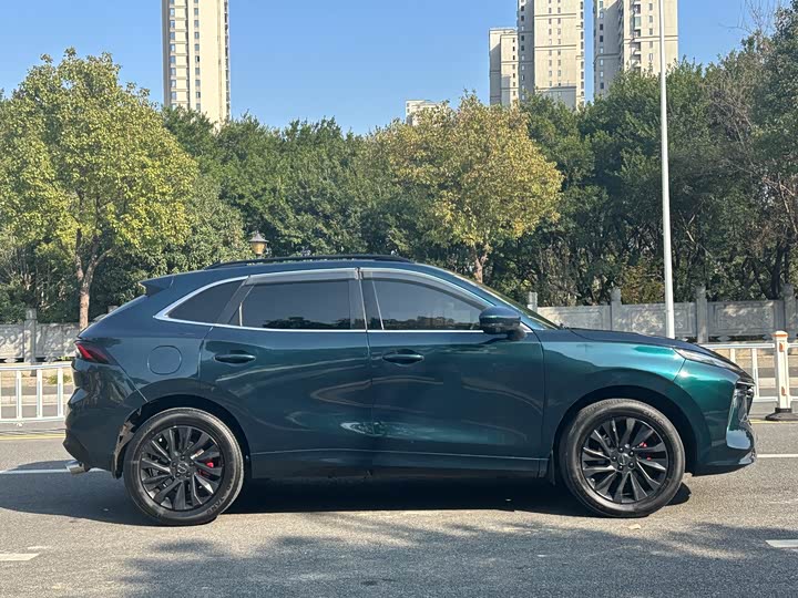 Фото 4 - Dongfeng Forthing T5 EVO