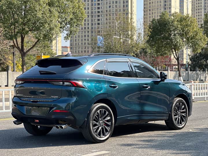 Фото 5 - Dongfeng Forthing T5 EVO