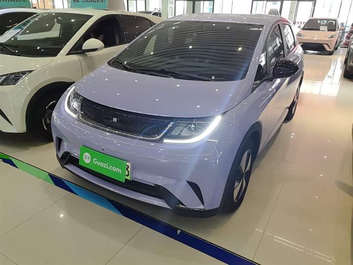 Фото 2 - BYD Dolphin