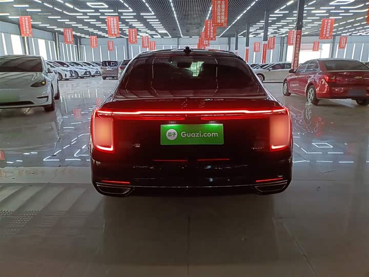 Фото 6 - Hongqi H9