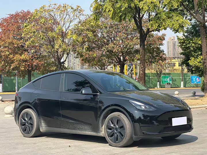 Фото 3 - Tesla Model Y