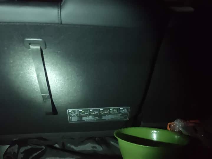 Фото 4 - GAC Trumpchi E9