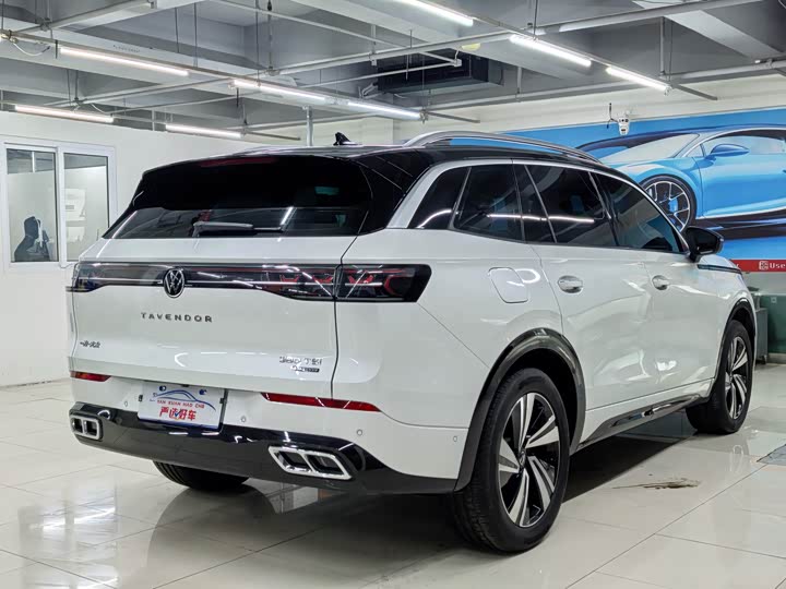 Фото 7 - Volkswagen Tavendor