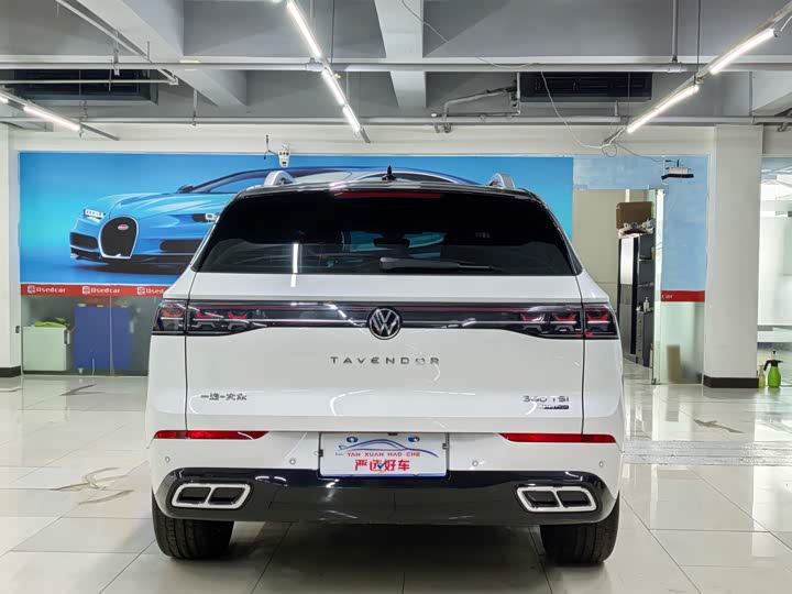 Фото 8 - Volkswagen Tavendor