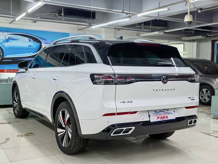 Фото 9 - Volkswagen Tavendor