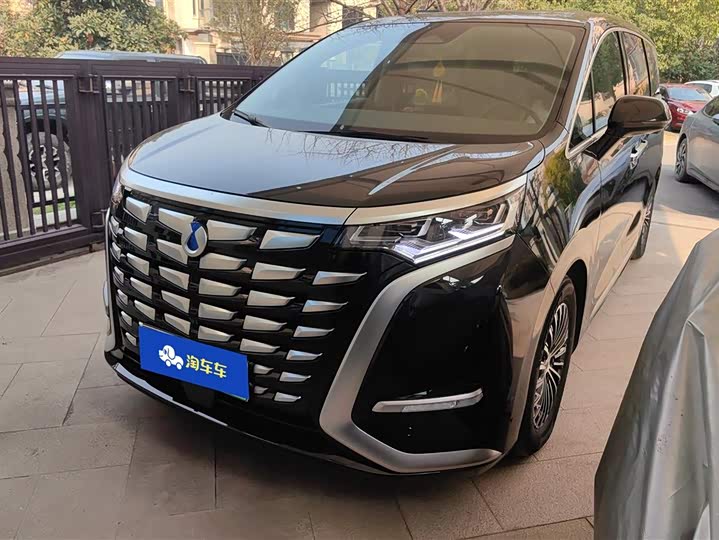 Фото 1 - Denza D9