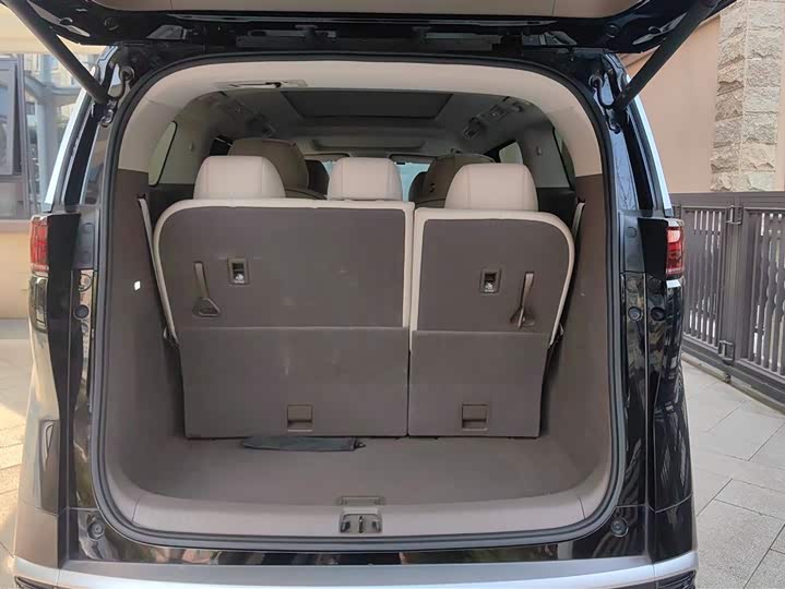 Фото 4 - Denza D9