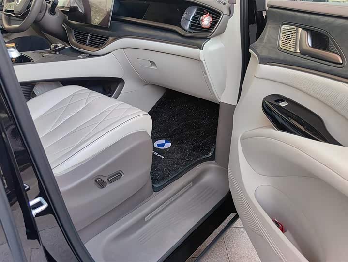 Фото 8 - Denza D9